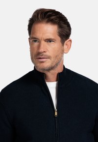 Marineblaues, geripptes Zip-Pullover mit hohem Kragen und goldenem Reißverschluss, getragen über einem weißen Hemd. Die Textur scheint weich und strukturiert zu sein.