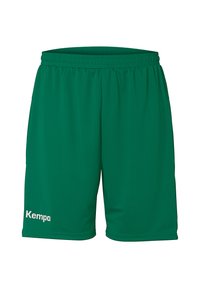 Groene sportshorts van lichtgewicht materiaal, uitgerust met een elastische tailleband en een klein wit logo aan de onderkant links.