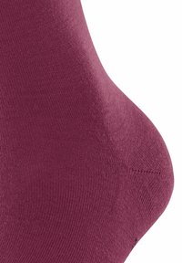 FALKE SOFTMERINO LINE - Socken - red plum