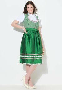 Vestido dirndl verde con cuerpo ajustado de patrón a cuadros, falda de satén, lazo en la cintura, decoración floral y blusa blanca debajo.