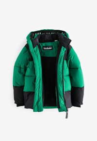 Baker by Ted Baker Žieminė striukė - green