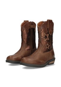 Bruine leren cowboylaarzen met een gestikt ontwerp, een metallic bronzen schacht, steraccenten, een zijrits en een lage gestapelde hak.