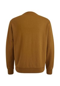 Bruine katoenen sweatshirt met ronde hals, lange mouwen, ribgebreide manchetten en tailleband. Soepele textuur, geen zichtbare patronen of hardwaredetails.