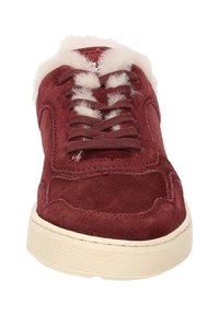 Burgunderfarbene Wildledersneaker mit weißem Fleece-Innenfutter, passenden Schnürsenkeln und cremefarbener Gummisohle, aus der Frontalansicht gezeigt.
