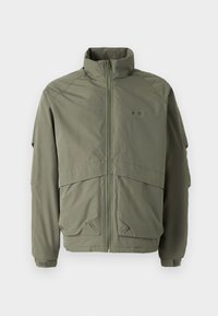 Unselected, dusty olive