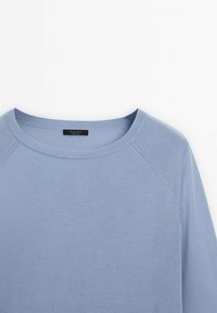 Pull bleu clair à manches longues, col rond avec col côtelé et détails de couture subtils sur l'épaule. Aucun motif ou logo visible.