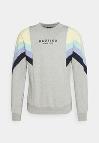 Grå sweatshirt med rund hals, som har flerfärgade diagonala ränder i pastellnyanser på ärmarna och en svart textlogotyp på bröstet.