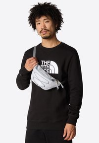 The North Face JESTER LUMBAR UNISEX - Diržinis krepšelis - tnf white metallic melange mid grey