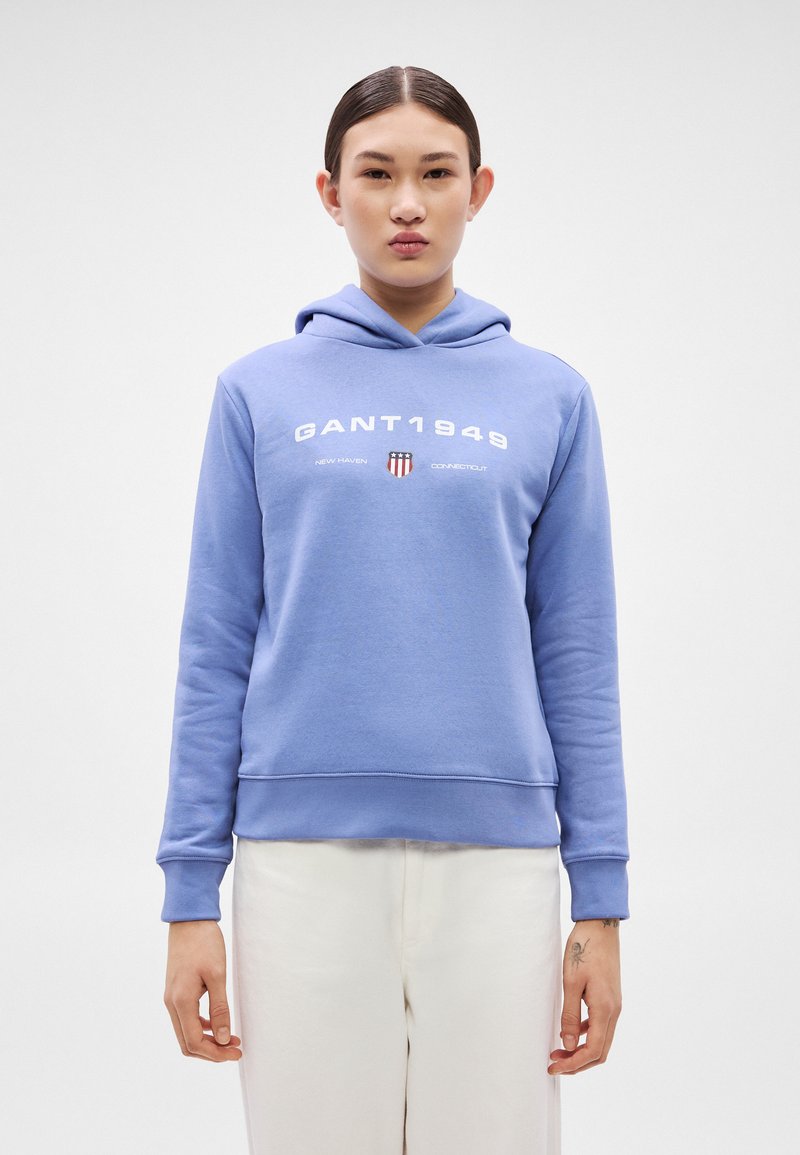 GANT GRAPHIC HOODIE - Mikina s kapucí - greyish blue