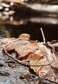 Goldene Kette, die auf braunen, strukturierten Blättern ruht, mit einer glänzenden Oberfläche, die Wassertropfen reflektiert und eine natürliche, erdige Komposition schafft.