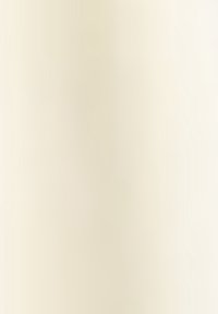 Beige minimalistische wandpaneel met een gladde textuur, vlakke oppervlakte en geen zichtbare patronen of hardware, ontworpen voor moderne interieur ruimtes.