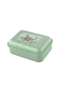 Light green lunchbox with a clasp, featuring a cartoon bear with a squirrel on its back in a forest scene on the lid.