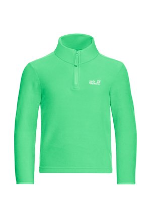 TAUNUS 100 HZ K - Fleecepullover - lizard