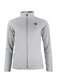 Peak Mountain AFONOR - Sweat zippé - gris