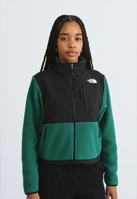 The North Face W RETRO DENALI JACKET - Giacca in pile - evergreen/black