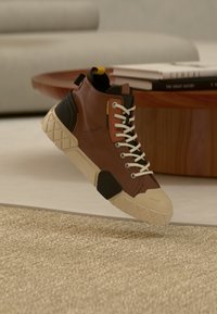 Ausgewählt, raccoon