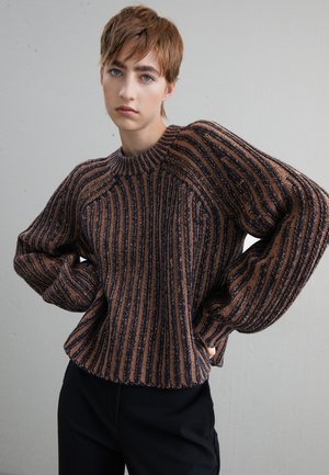 CREWNECK - Pullover - black/dark brown