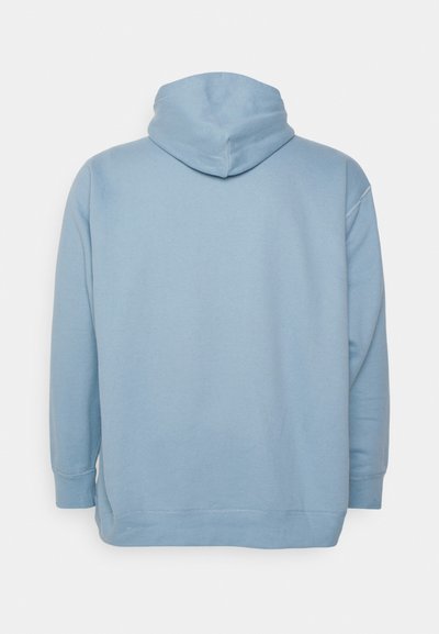 Polo Ralph Lauren Big & Tall THE RL FLEECE HOODIE - Sweatshirt com capuz - blue note