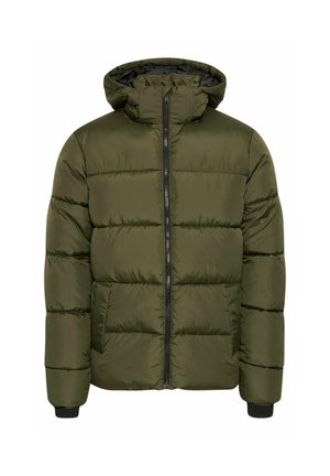 Tamsiai žalia pūkinė striukė su gobtuvu, pasižyminti vertikalia užtrauktuko sistema, raštuotais rankogaliais ir siuvinėta panelių struktūra, užtikrinančia izoliaciją ir šilumą.