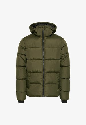 Tamsiai žalia pūkinė striukė su gobtuvu, pasižyminti vertikalia užtrauktuko sistema, raštuotais rankogaliais ir siuvinėta panelių struktūra, užtikrinančia izoliaciją ir šilumą.