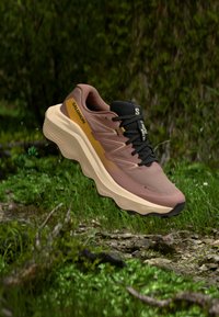 ULTRA FLOW 2 GTX - Trail tekaški čevlji - burlwood/tender peach/warm apricot