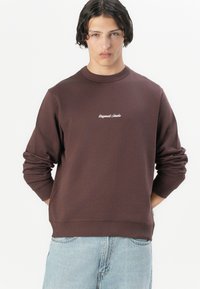Brun sweatshirt med ribbestrikkede mansjetter og kant, med hvit brodert tekst "Original Studio" på forsiden. Mykt tekstilmateriale.