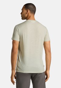 Lysegrøn t-shirt med korte ærmer og rund hals, lavet af blødt stof, med en glat tekstur og afslappet pasform, set fra bagsiden.
