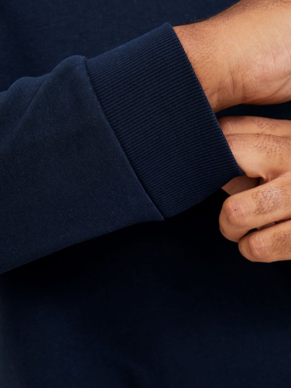 EBRADLEY CREW PLS - Sweatshirt4