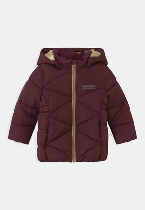 NMFMILTON PUFFER CAMP - Wintermantel - winetasting