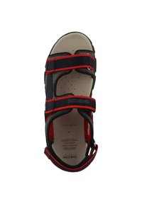 Sandal in blu scuro con accenti rossi e cinturini regolabili. Presenta una suola forata per la traspirazione, taglia contrassegnata 38 e marchio Geox.