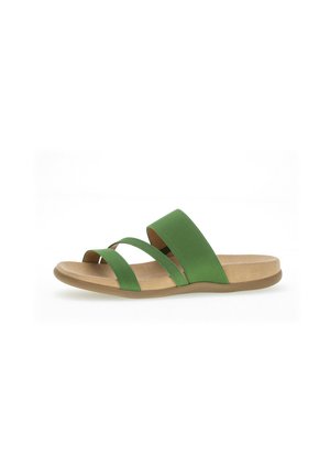 Green slide sandals with two fabric straps crossing over a beige footbed. Smooth texture, minimalist design, and flat rubber sole.