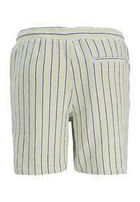 Pantaloncini in spugna verde chiaro con strisce verticali nere e bianche e una tasca posteriore singola sul lato destro.