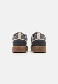 Puma PARK LIFESTYLE UNISEX - Gördeszkacipők - cool dark gray/alpine snow/strong gray