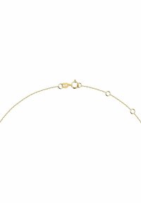 Guld kæde med et fint linksdesign, der har en lobster clasp lukning og spaced dekorative cirkulære accenter langs kæden.