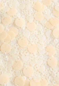 Beige paillettenoverlay met doorzichtige en ondoorzichtige ronde schijven, vastgemaakt met doorzichtige draad op een delicate kant achtergrond.