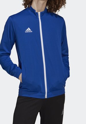 Personne portant une veste zippée Adidas bleue avec une fermeture éclair blanche et un logo, mains dans les poches, associée à un pantalon Adidas noir.
