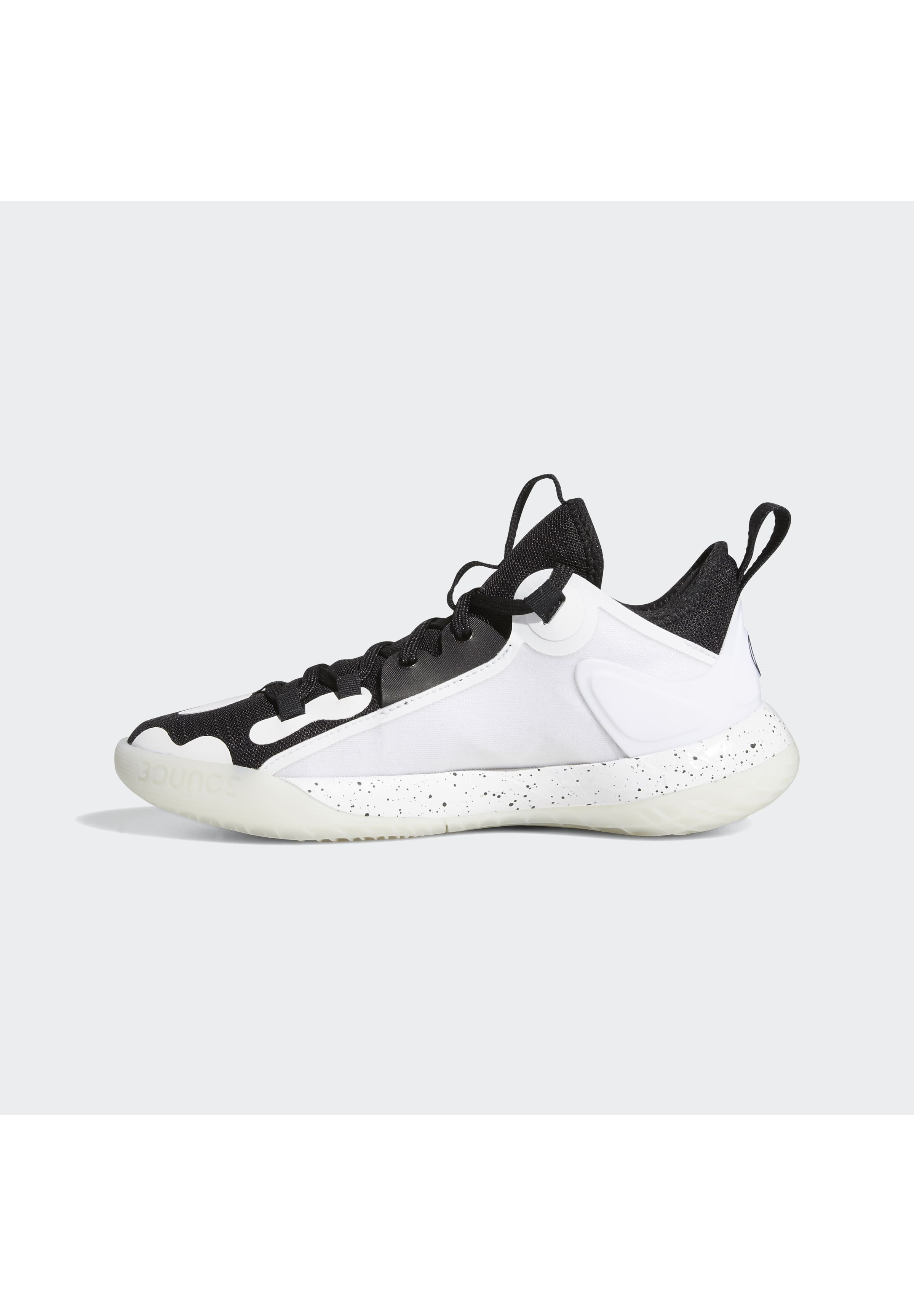 harden 2.0 shoes