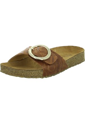 Haflinger, Mules - braun