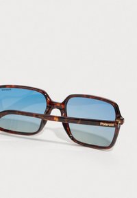 Gafas de sol carey con lentes degradados azules. Diseño de montura cuadrada, con la marca en oro "Polaroid" en la varilla.