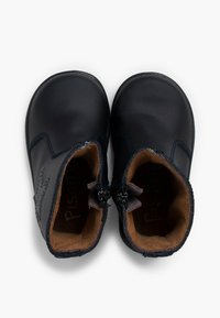 Pisamonas - Śniegowce