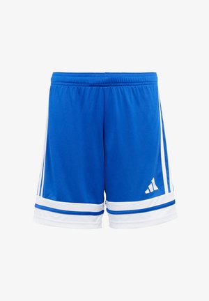 Mėlyni sportiniai šortai, pagaminti iš lengvos medžiagos, su baltais dryžiais ir akcentais, elastingu juosmeniu ir logotipo detale ant apačios.