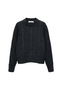 Maglione grigio scuro lavorato a maglia con un motivo a treccia testurizzato, scollatura rotonda e polsini e orlo a coste. Design di lunghezza cropped.