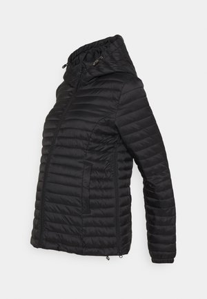 HALIDA PADDED COAT - Chaqueta de invierno - black