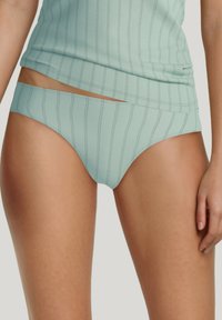Mintgroene bikini slips met een gladde textuur, voorzien van verticale strepen en een brede tailleband voor een modern ontwerp.