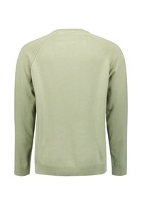 Groene gebreide trui, lange mouwen, ronde hals, ribgebreide manchetten en zoom, zachte textuur, minimalistisch ontwerp, geen zichtbare patronen of versieringen.
