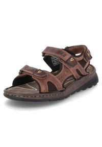 camel active Walking sandals - braun