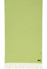 Douce couverture vert clair avec des bords frangés, fabriquée à partir d'un matériau lisse. L'étiquette dans le coin inférieur droit présente un logo.