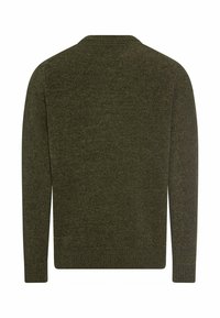Dark green long-sleeve knitted sweater with ribbed cuffs and hem, shown from the back on a white background.