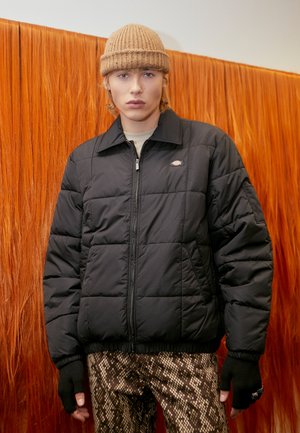 Chaqueta acolchada negra con acolchado, cuello y cierre frontal. Presenta puños y dobladillo elásticos. Lleva puestos pantalones marrones con estampado y un gorro beige.