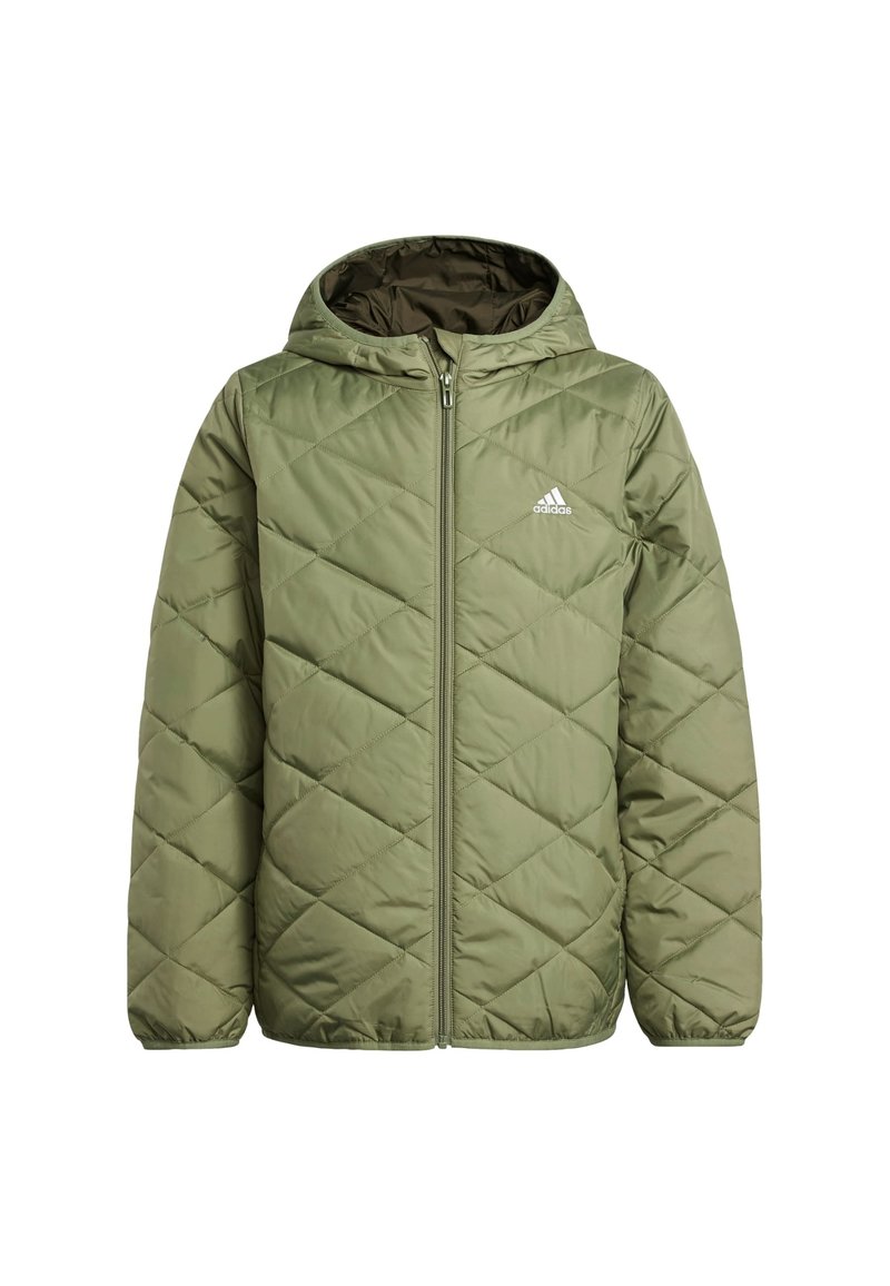 adidas Sportswear Winterjas groen